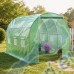 Тунелна оранжерия HERLY 3x2x2 м, 6 кв.м, с 6 прозореца, 1 вратa и UV защита Тунелна оранжерия HERLY 3x2x2 м, 6 кв.м, с 6 прозореца, 1 вратa и UV защита