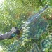 Храсторез акумулаторен / ножица за жив плет Makita UH007GZ, 40V, XGT Серия, 75 см